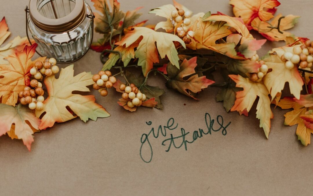 Holiday Gratitudes and Boundaries